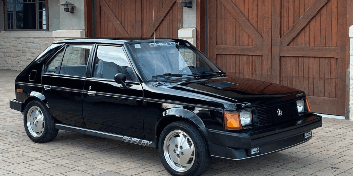 Dodge Omni parts Dodge Omni parts